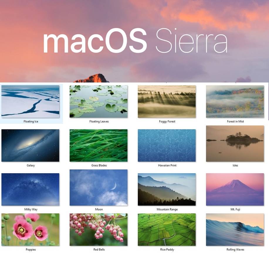 Download Google Drive For Mac High Sierra